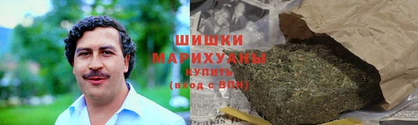 прущие грибы Богородицк